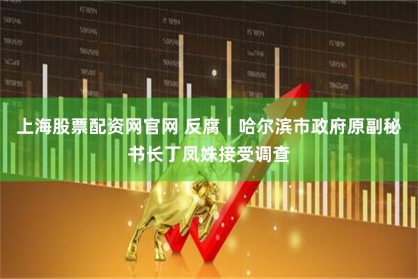 上海股票配资网官网 反腐｜哈尔滨市政府原副秘书长丁凤姝接受调查