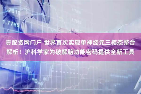 壹配资网门户 世界首次实现单神经元三模态整合解析！沪科学家为破解脑功能密码提供全新工具