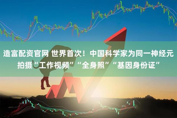 造富配资官网 世界首次！中国科学家为同一神经元拍摄“工作视频”“全身照”“基因身份证”